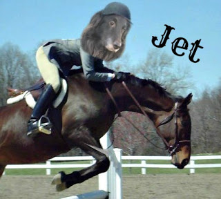 leaping jet